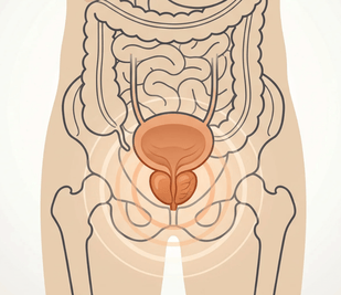 Reduce Prostate Pressure